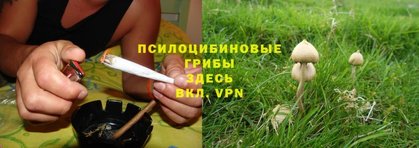 метадон Шали